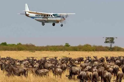 3-days-masai-mara-flying-safari