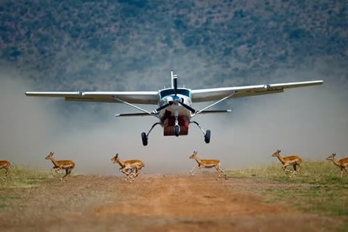 8-days-classic-flying-safari