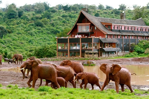 10-days-amboseli-aberdare