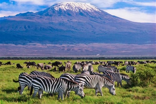 5-days-amboseli-naivasha