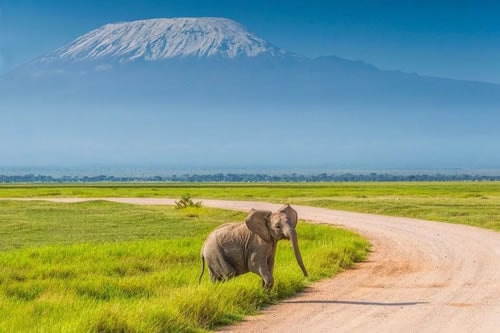 7-days-amboseli