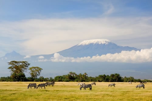 7-days-marangu-route