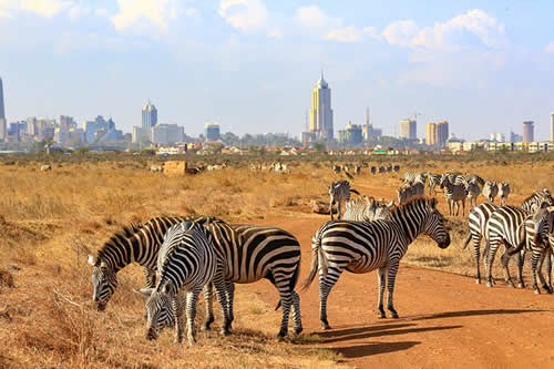 nairobi national park