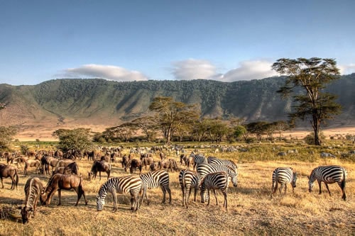 4-days-family-holiday-ngorongoro