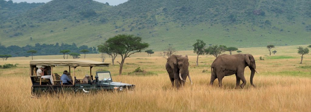 Kenya Safari Tours