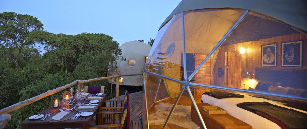 Kenya Lodge Safaris | Wildlife Tours with Luxury Safari Lodges