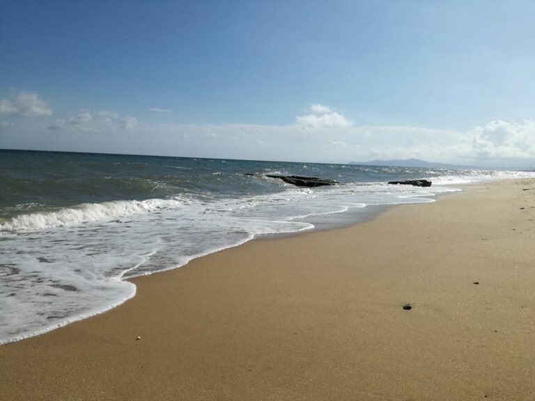 Combine thrilling Kenya & Tanzania safaris with a relaxing Zanzibar beach extension. Experience wildlife, culture, and tropical island bliss in one trip