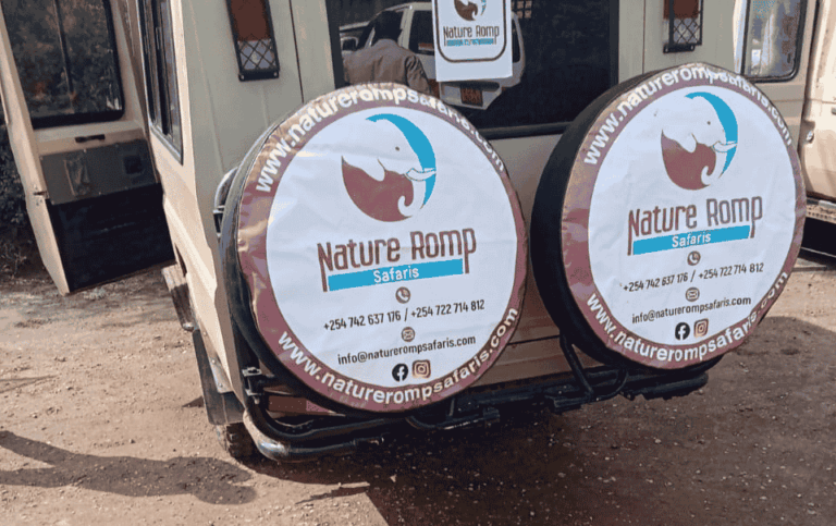 Explore our Africa safari blog for travel tips, wildlife stories, safari guides, park highlights & expert advice to plan your ultimate African adventure.