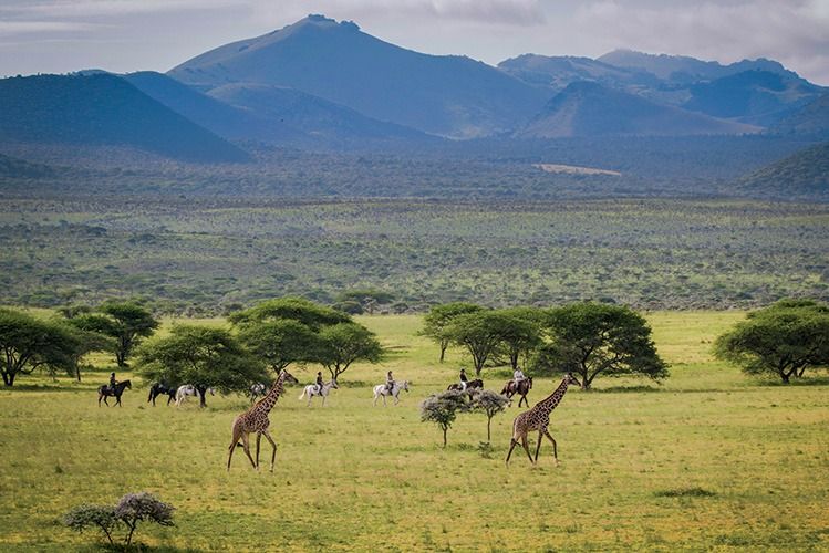  Chyulu Hills National Park. Discover rolling hills Ultimate Kenya Safari Guide 2026-2027: Costs, Migration & Hidden Gems